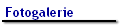 Fotogalerie